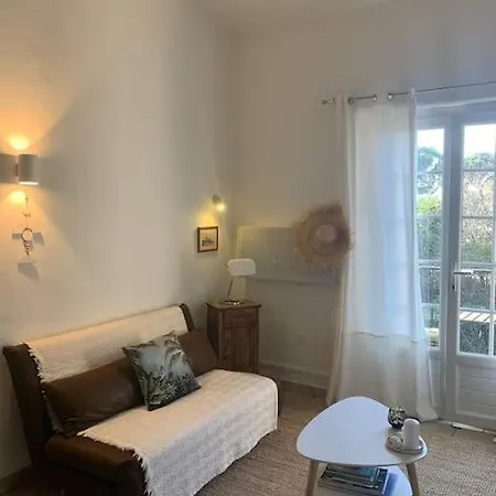 Duplex Au Calme Avec Parking サント・マキシム